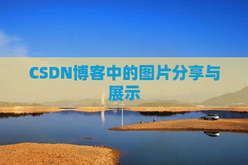 CSDN博客中的图片分享与展示